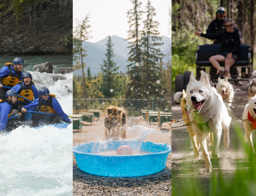 Fun Things to do in Canmore in the Summer